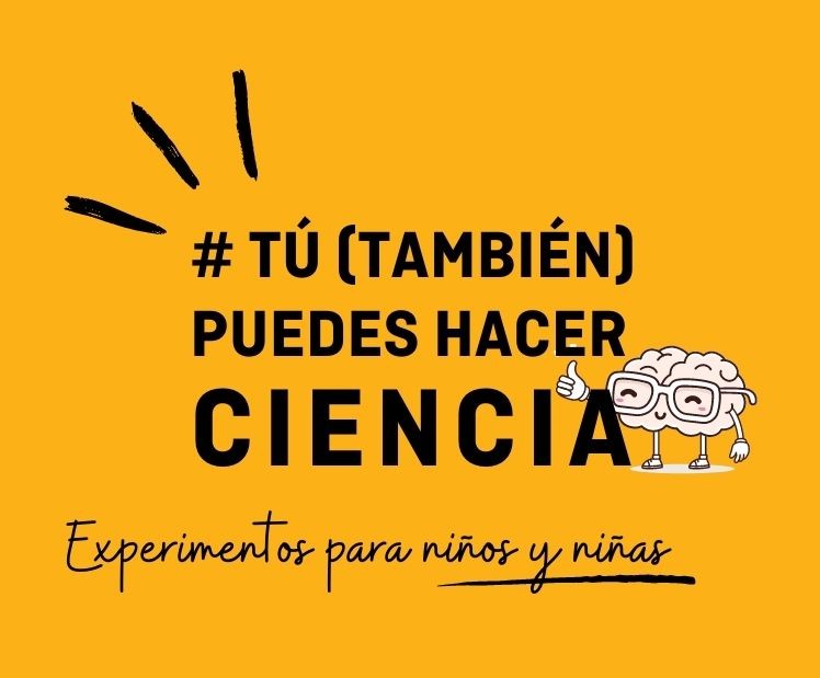 proyectos